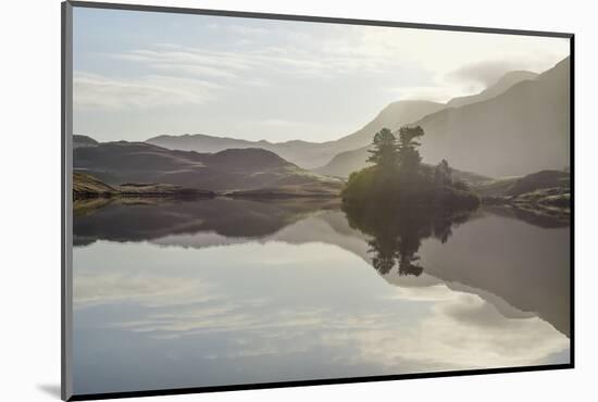 Reflections, Cregannen Lake, Dolgellau, Gwynedd, North Wales, United Kingdom, Europe-Janette Hill-Mounted Photographic Print