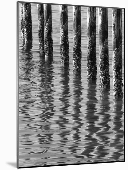 Reflections from an Old Pier 2-Don Paulson-Mounted Giclee Print