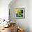 Reflections II-Blue Fish-Framed Art Print displayed on a wall