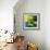 Reflections II-Blue Fish-Framed Art Print displayed on a wall