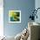 Reflections II-Blue Fish-Framed Art Print displayed on a wall