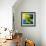 Reflections II-Blue Fish-Framed Art Print displayed on a wall