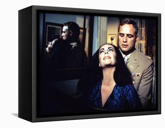 REFLECTIONS IN A GOLDEN EYE, 1967 directed by JOHN HUSTON Elizabeth Taylor / Marlon Brando (photo)-null-Framed Stretched Canvas