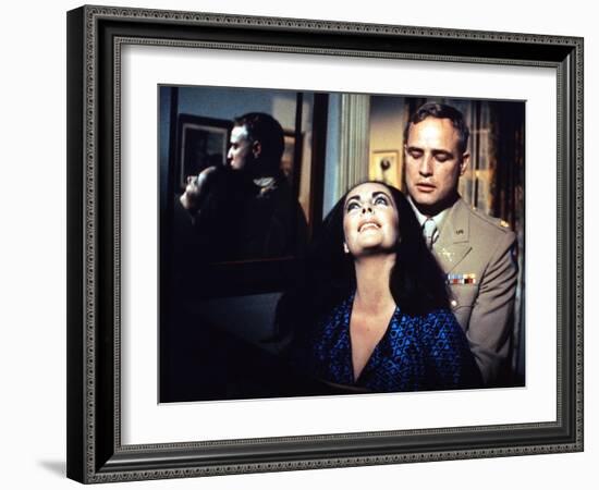 REFLECTIONS IN A GOLDEN EYE, 1967 directed by JOHN HUSTON Elizabeth Taylor / Marlon Brando (photo)-null-Framed Photo