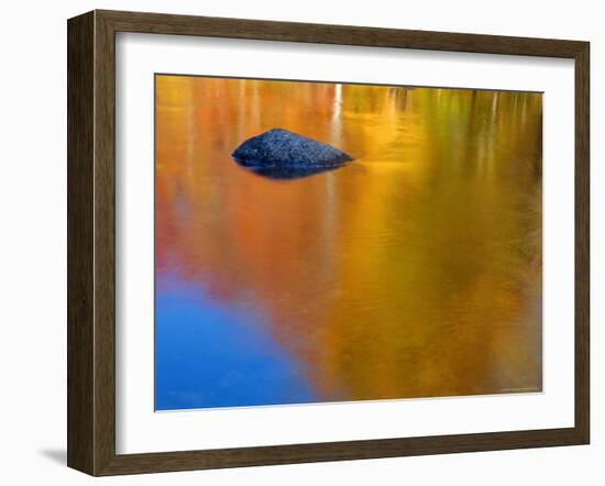 Reflections in Autumn, Lost River, New Hampshire, USA-Gavin Hellier-Framed Photographic Print