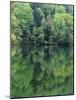 Reflections in Charlottesville Lake, Blue Ridge Mountains, Virginia, USA-Charles Gurche-Mounted Photographic Print