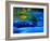 Reflections in Fall, Canton Creek near North Umpquah, Oregon, USA-Janell Davidson-Framed Photographic Print