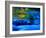 Reflections in Fall, Canton Creek near North Umpquah, Oregon, USA-Janell Davidson-Framed Photographic Print