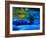 Reflections in Fall, Canton Creek near North Umpquah, Oregon, USA-Janell Davidson-Framed Photographic Print