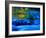 Reflections in Fall, Canton Creek near North Umpquah, Oregon, USA-Janell Davidson-Framed Photographic Print