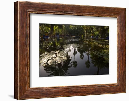 Reflections in Lily Pool, Jardin Majorelle, Owned by Yves St. Laurent, Marrakech, Morocco-Stephen Studd-Framed Photographic Print