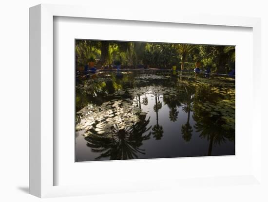 Reflections in Lily Pool, Jardin Majorelle, Owned by Yves St. Laurent, Marrakech, Morocco-Stephen Studd-Framed Photographic Print