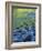 Reflections in the Elwha River, Olympic National Park, Washington, USA-Charles Gurche-Framed Photographic Print