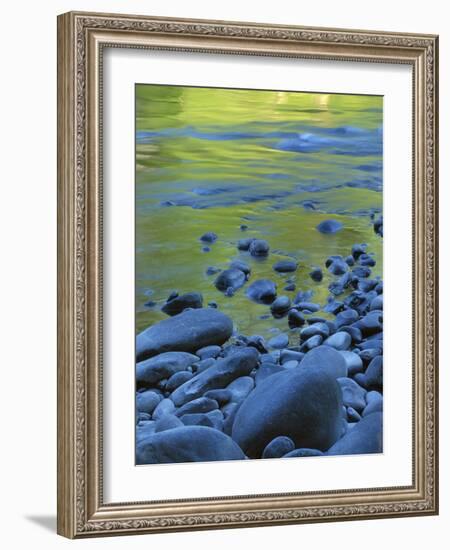 Reflections in the Elwha River, Olympic National Park, Washington, USA-Charles Gurche-Framed Photographic Print