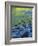 Reflections in the Elwha River, Olympic National Park, Washington, USA-Charles Gurche-Framed Photographic Print