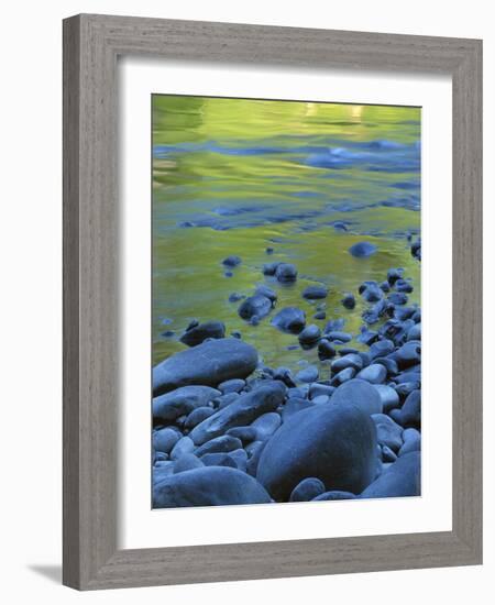 Reflections in the Elwha River, Olympic National Park, Washington, USA-Charles Gurche-Framed Photographic Print