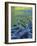 Reflections in the Elwha River, Olympic National Park, Washington, USA-Charles Gurche-Framed Photographic Print