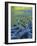 Reflections in the Elwha River, Olympic National Park, Washington, USA-Charles Gurche-Framed Photographic Print