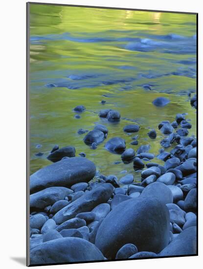 Reflections in the Elwha River, Olympic National Park, Washington, USA-Charles Gurche-Mounted Photographic Print