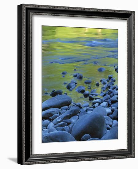 Reflections in the Elwha River, Olympic National Park, Washington, USA-Charles Gurche-Framed Photographic Print