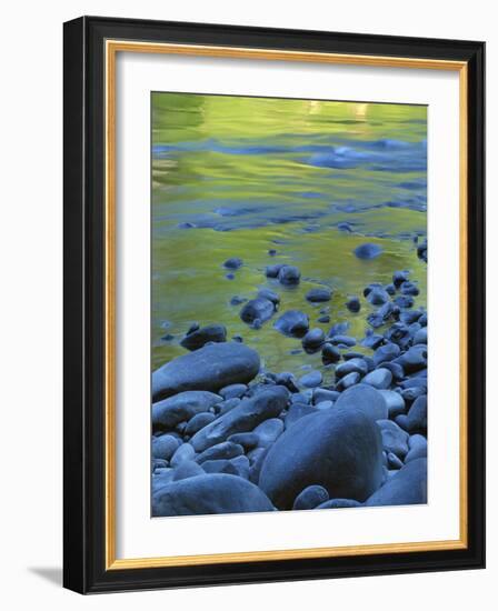 Reflections in the Elwha River, Olympic National Park, Washington, USA-Charles Gurche-Framed Photographic Print