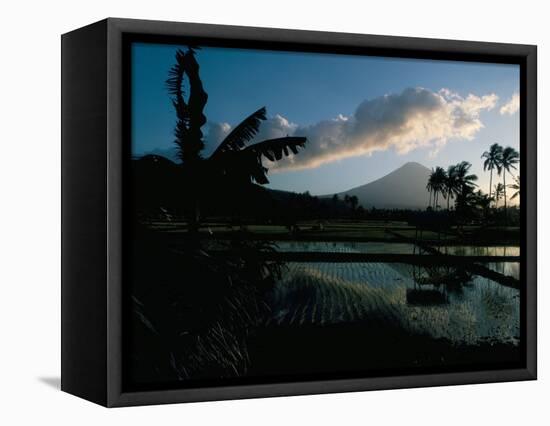 Reflections in Water of Rice Paddies, Amed Village, Island of Bali, Indonesia, Southeast Asia-Bruno Barbier-Framed Premier Image Canvas