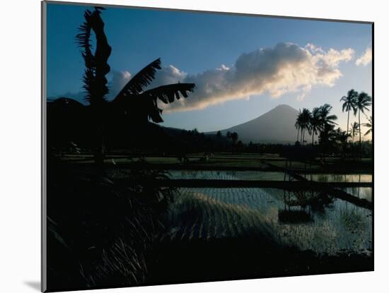 Reflections in Water of Rice Paddies, Amed Village, Island of Bali, Indonesia, Southeast Asia-Bruno Barbier-Mounted Photographic Print