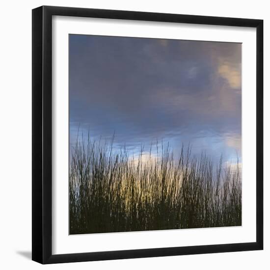 Reflections, Merritt Island National Wildlife Refuge, Titusville, Florida, USA-Maresa Pryor-Framed Photographic Print