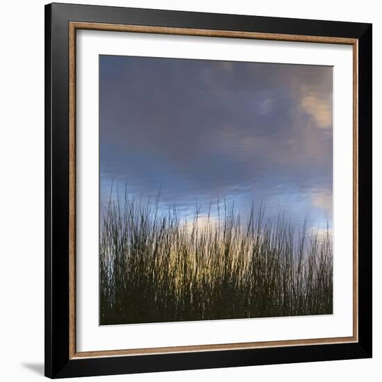 Reflections, Merritt Island National Wildlife Refuge, Titusville, Florida, USA-Maresa Pryor-Framed Photographic Print