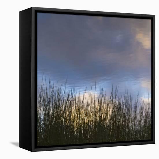 Reflections, Merritt Island National Wildlife Refuge, Titusville, Florida, USA-Maresa Pryor-Framed Premier Image Canvas