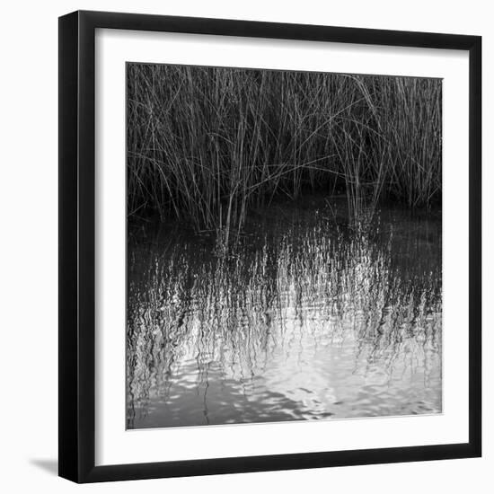 Reflections, Merritt Island National Wildlife Refuge, Titusville, Florida, USA-Maresa Pryor-Framed Photographic Print