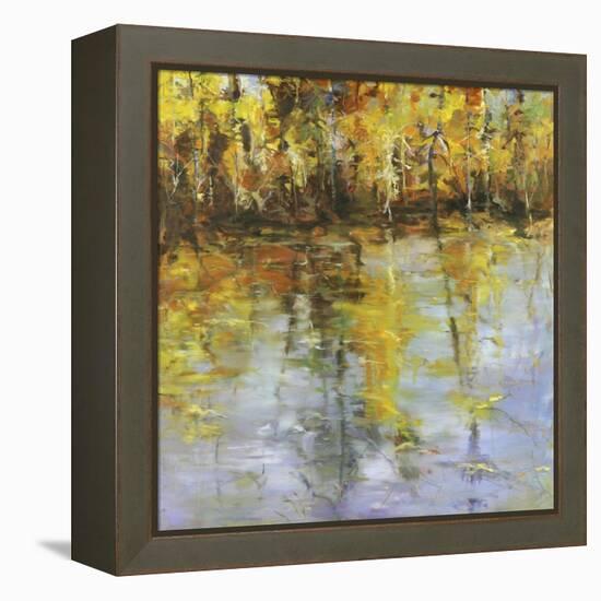 Reflections of a Changing Season-Tim Howe-Framed Premier Image Canvas