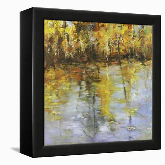 Reflections of a Changing Season-Tim Howe-Framed Premier Image Canvas