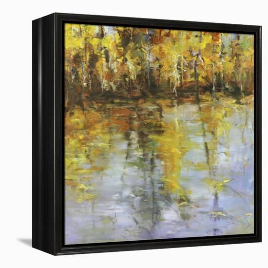 Reflections of a Changing Season-Tim Howe-Framed Premier Image Canvas