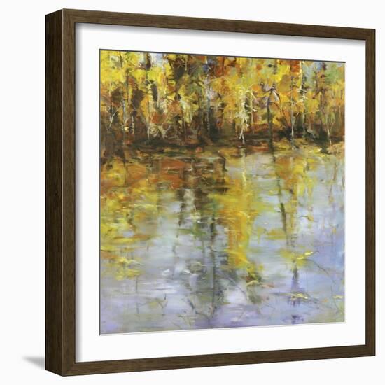 Reflections of a Changing Season-Tim Howe-Framed Giclee Print