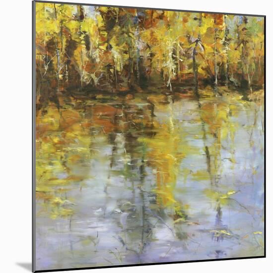 Reflections of a Changing Season-Tim Howe-Mounted Giclee Print