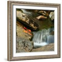 Reflections of autumn color in rocky creek, Smoky Mountains National Park, Tennessee, USA-Anna Miller-Framed Photographic Print