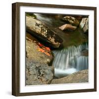 Reflections of autumn color in rocky creek, Smoky Mountains National Park, Tennessee, USA-Anna Miller-Framed Photographic Print
