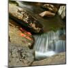 Reflections of autumn color in rocky creek, Smoky Mountains National Park, Tennessee, USA-Anna Miller-Mounted Photographic Print