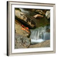Reflections of autumn color in rocky creek, Smoky Mountains National Park, Tennessee, USA-Anna Miller-Framed Photographic Print