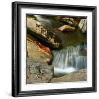 Reflections of autumn color in rocky creek, Smoky Mountains National Park, Tennessee, USA-Anna Miller-Framed Photographic Print