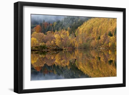 Reflections of Autumn Colours In Loch-Adrian Bicker-Framed Photographic Print