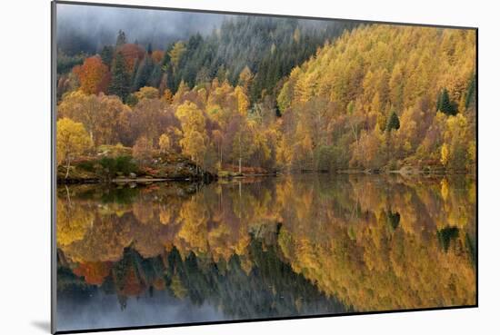 Reflections of Autumn Colours In Loch-Adrian Bicker-Mounted Photographic Print