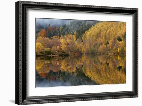 Reflections of Autumn Colours In Loch-Adrian Bicker-Framed Photographic Print