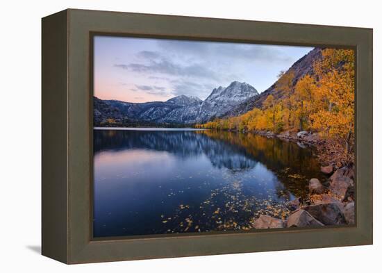 Reflections of Autumn Past, Silver Lake, Mammoth Lakes California-Vincent James-Framed Premier Image Canvas