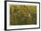 Reflections of Autumn-Donald Satterlee-Framed Giclee Print