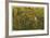 Reflections of Autumn-Donald Satterlee-Framed Giclee Print