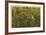 Reflections of Autumn-Donald Satterlee-Framed Giclee Print