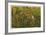 Reflections of Autumn-Donald Satterlee-Framed Giclee Print