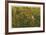 Reflections of Autumn-Donald Satterlee-Framed Giclee Print